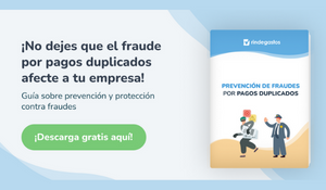 Descarga El Ebook Sobre La Prevención De Fraudes