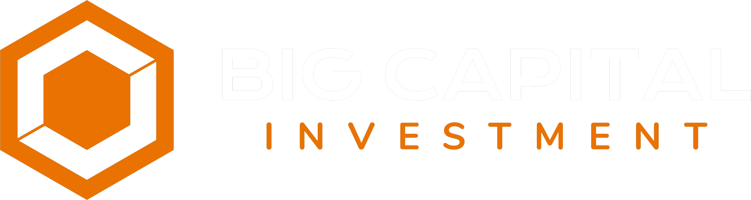 big-capital-logo-light.6f1d27d-2